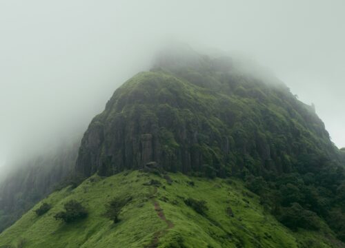 STARGAZING SPECIAL TREK & CAMPING ON RAJGAD FORT!